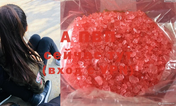 гашик Горно-Алтайск
